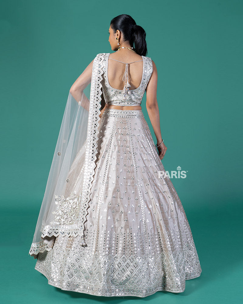 Light Taupe Embellished Lehenga Choli with Dupatta