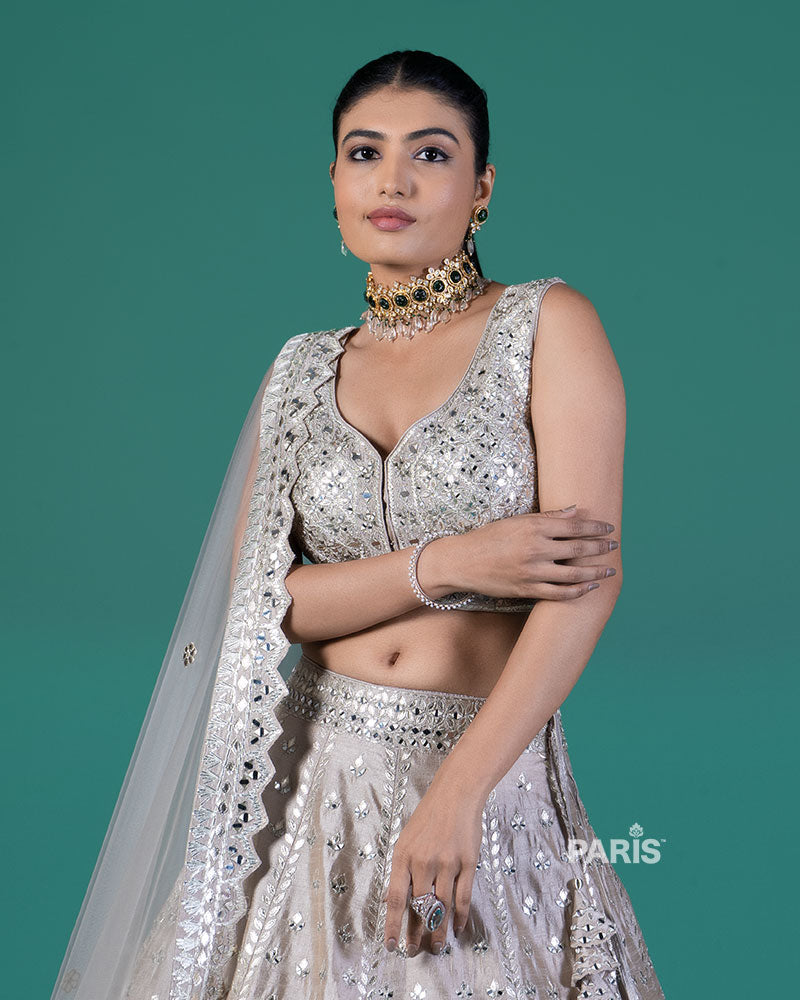 Light Taupe Embellished Lehenga Choli with Dupatta