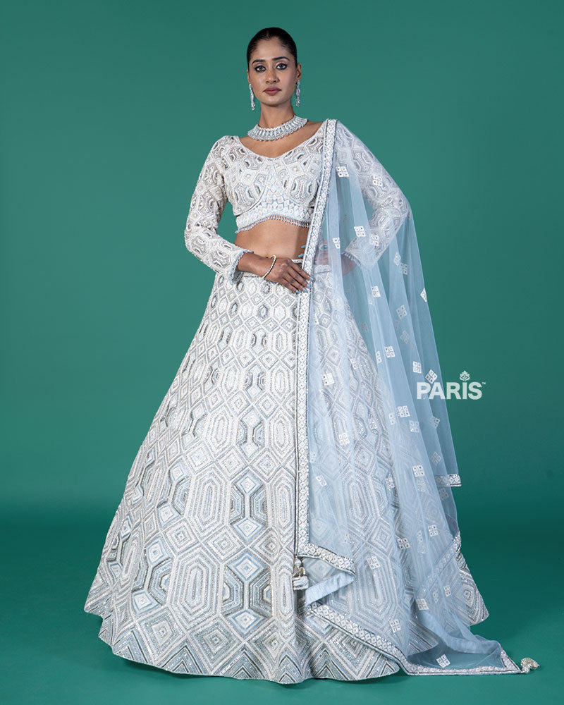Grey Silver Lehenga and Embroidered Gray Choli with Matching Dupatta