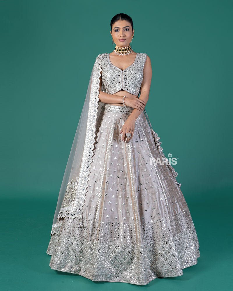 Light Taupe Embellished Lehenga Choli with Dupatta
