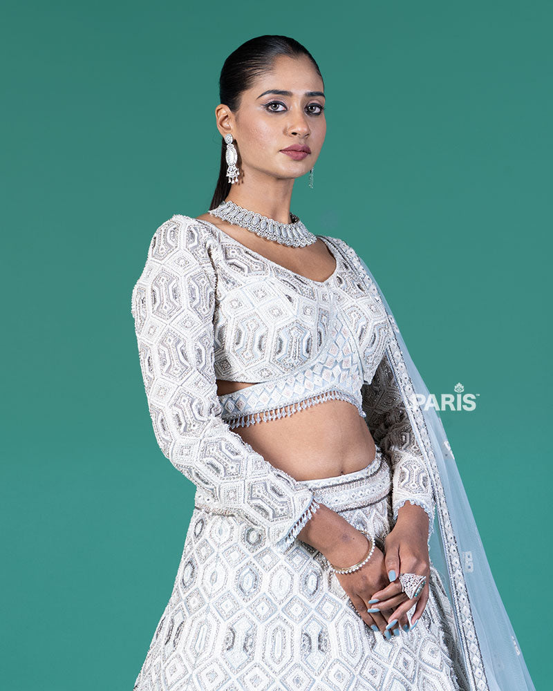 Grey Silver Lehenga and Embroidered Gray Choli with Matching Dupatta
