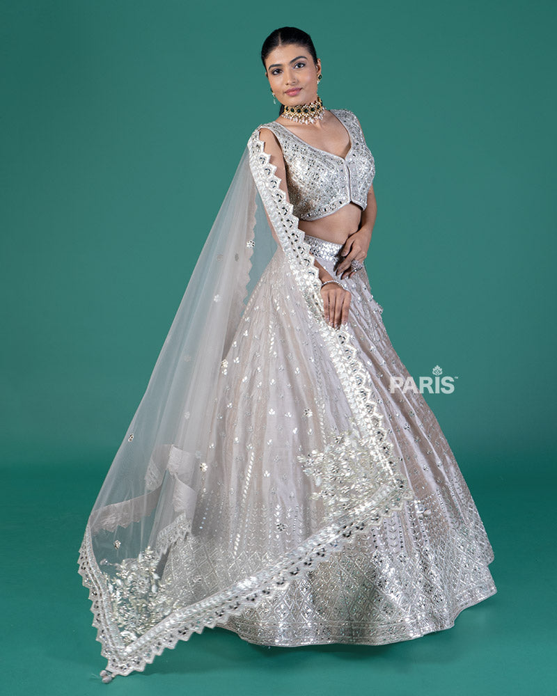 Light Taupe Embellished Lehenga Choli with Dupatta