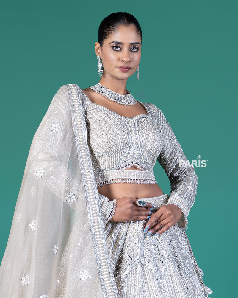 Beige Silver Embellished Lehenga Choli with Embroidered Dupatta