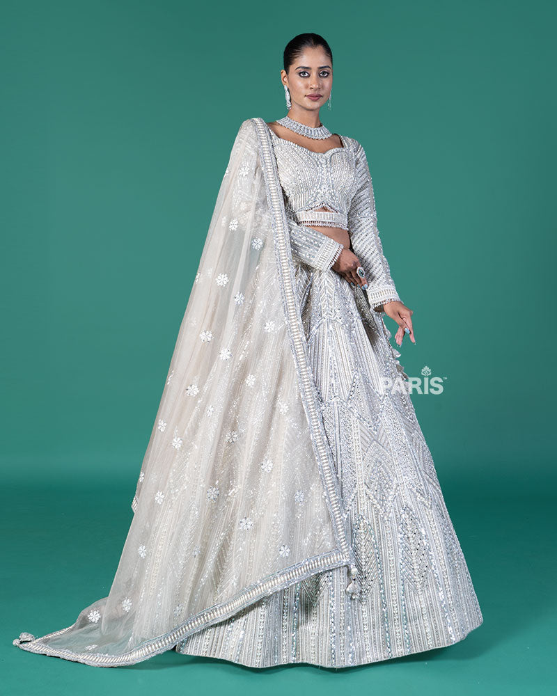 Beige Silver Embellished Lehenga Choli with Embroidered Dupatta