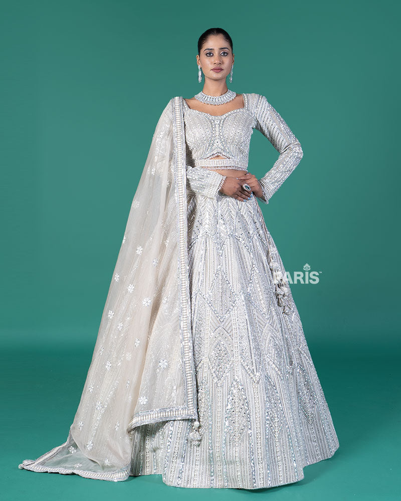 Beige Silver Embellished Lehenga Choli with Embroidered Dupatta