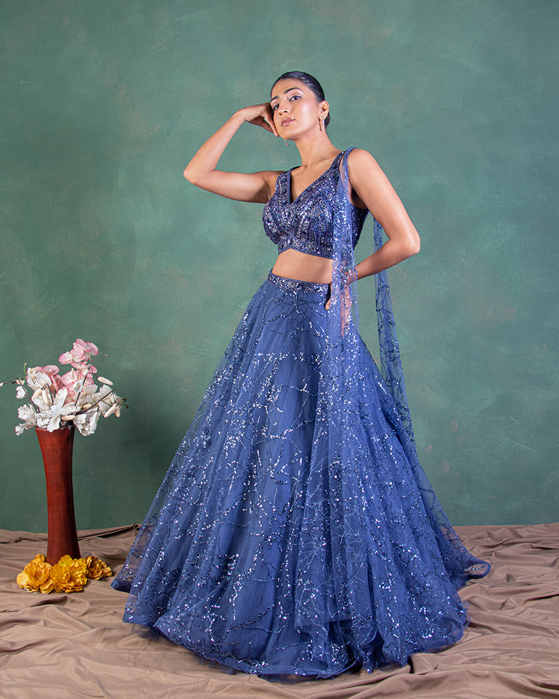 Blue Net Sequins Embroidered Lehenga Set With Dupatta