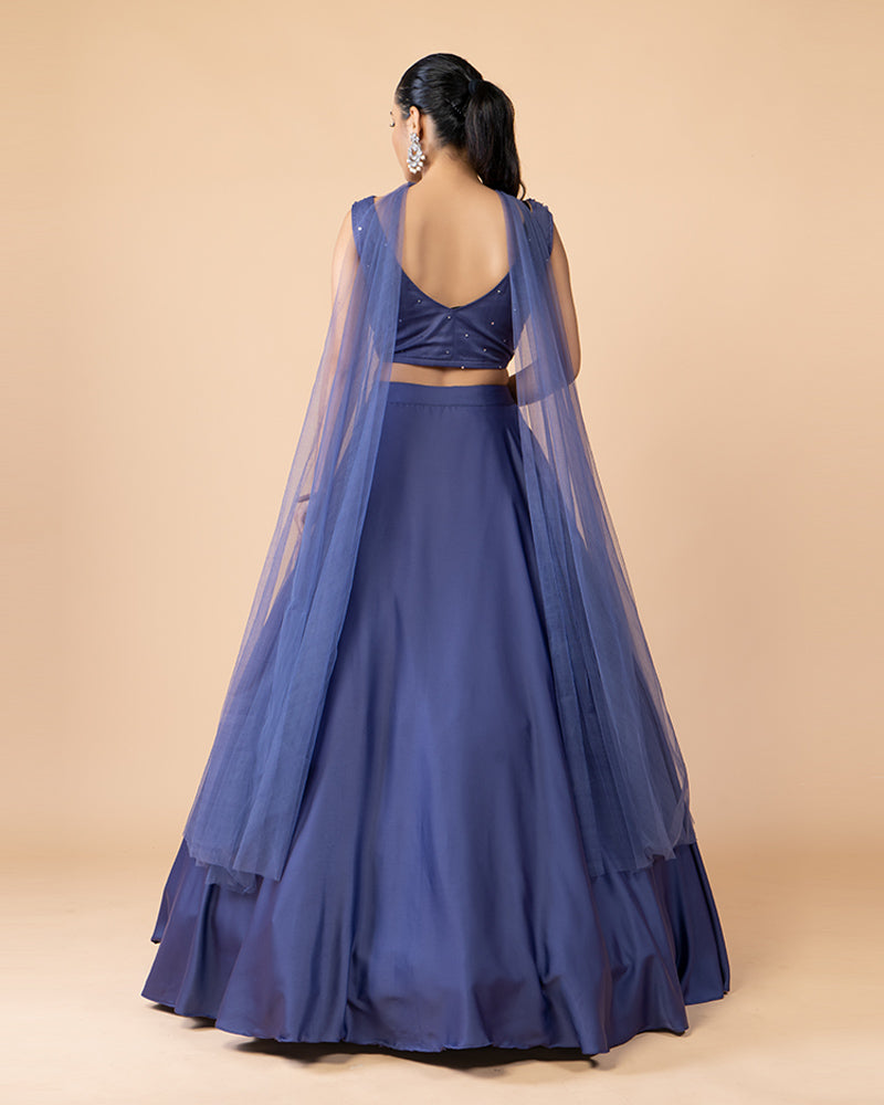 Dark Blue Skirt with Heavy Work choli and Net Dupatta