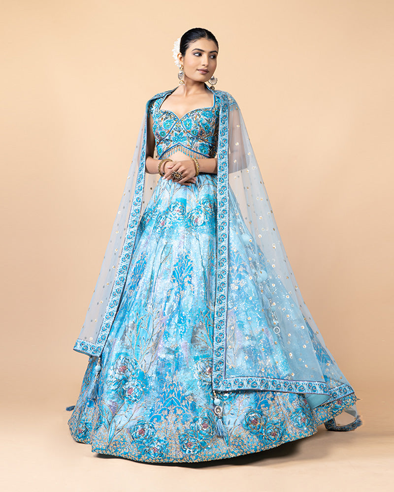 Elegant Aqua Blue Handwork Lehenga Choli